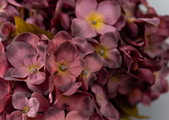 Jaracza Deluxe * Вроцлав