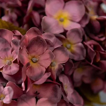 Jaracza Deluxe * Vratislav